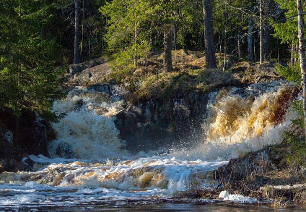 Эл карелия. Водопады Ахвенкоски Карелия. Рускеальские водопады Ахвенкоски. Водопад Ахвенкоски в Карелии Сортавала. Сортавала водопады Ахвенкоски.