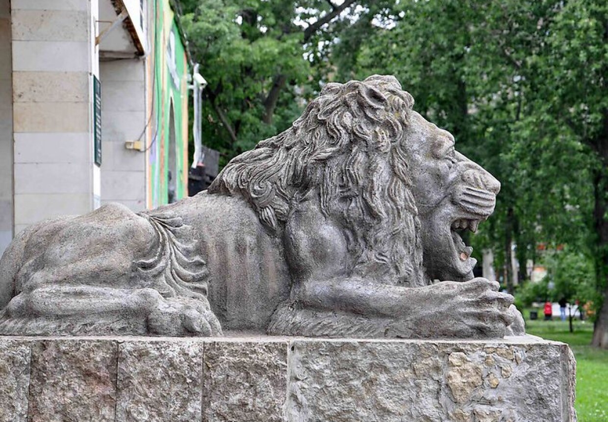 Лев балле. Статуи Львов у Ленинградского зоопарка. Зоопарк Санкт-Петербург Александровский парк. Львы возле Ленинградского зоопарка. Львы в зоопарке в Петербурге.