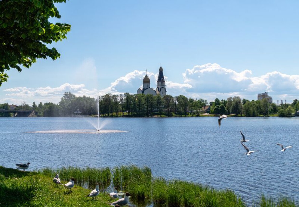 Озеро между Сестрорецком и солнечным